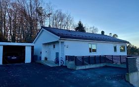 Your Dream Studio In Bergen